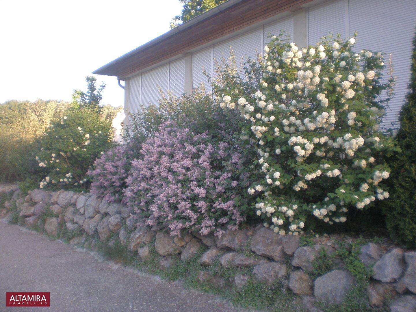 Steinmauer mit blühenden Sträuchern und Pflanzen vor der Gebäudefassade mit Rollläden.
