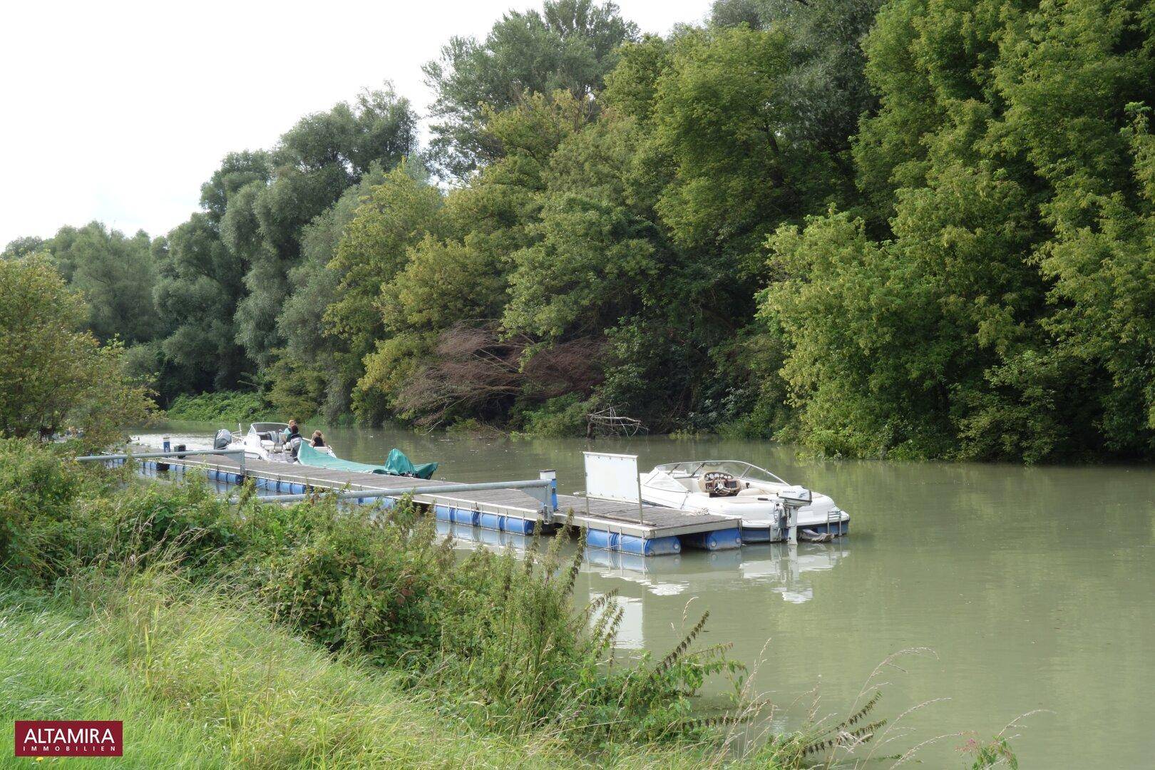 Fluss mit Bootssteg und mehreren Booten, umgeben von dichtem Wald und grüner Natur.