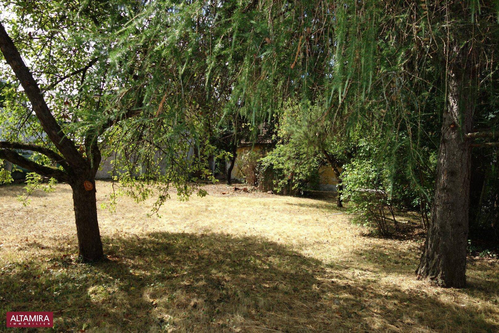 Weitläufiger Garten mit alten Bäumen und trockenem Gras, im Hintergrund ein Gebäude.
