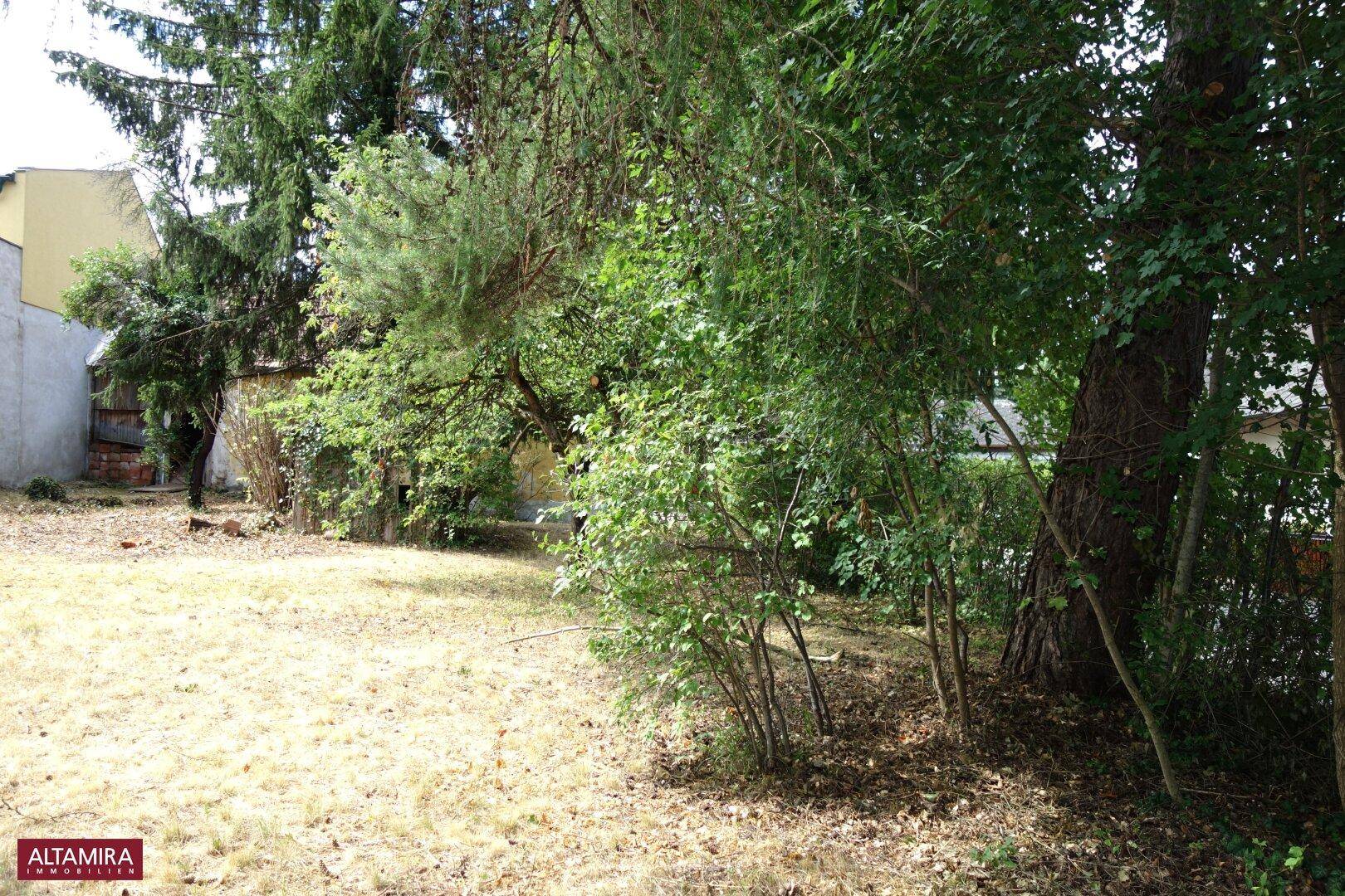Gartenfläche mit üppiger Vegetation, Bäumen und trockenem Gras, seitlich ein Gebäude.