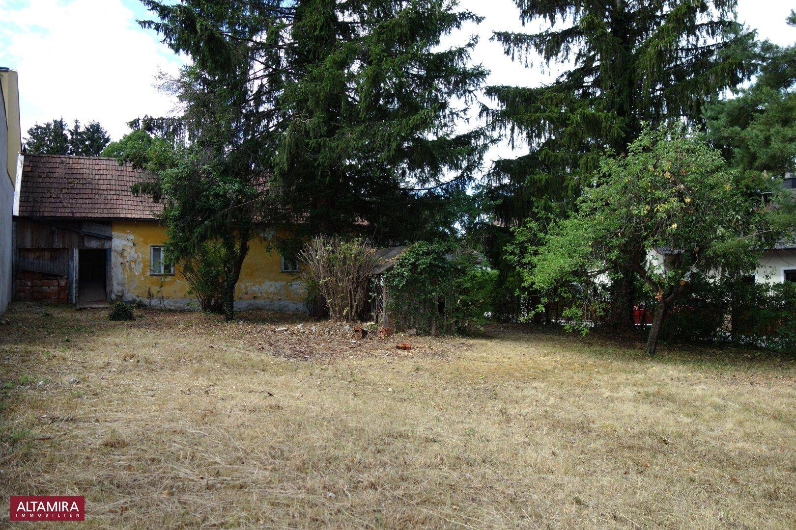 Gartenbereich mit hohen Bäumen und einem älteren, gelb gestrichenen Haus im Hintergrund.