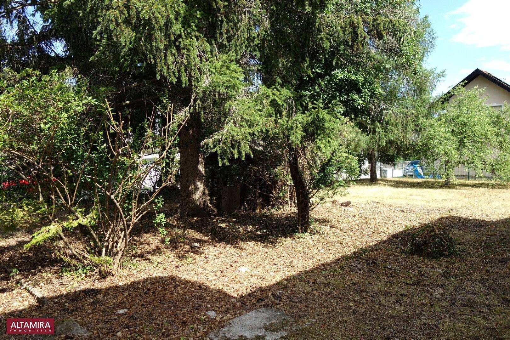 Naturbelassener Gartenbereich mit Bäumen und Sträuchern, im Hintergrund ein weiteres Gebäude.