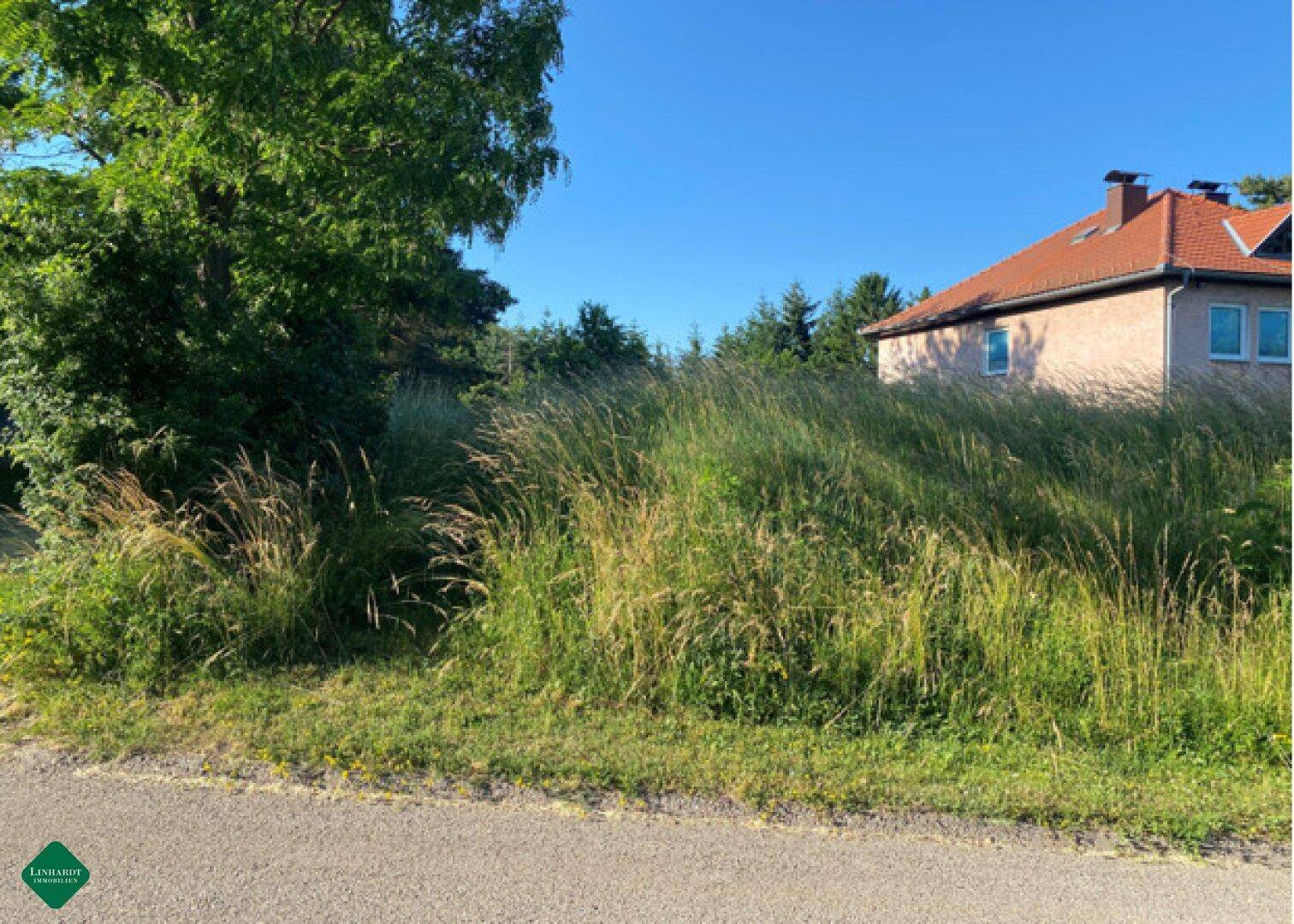 Unbebautes Grundstück mit hohem Gras neben einem Wohnhaus unter blauem Himmel.