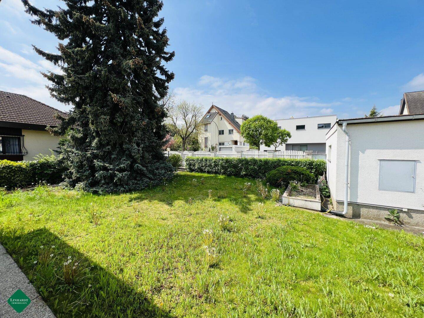 Ein weitläufiger Gartenbereich mit einem großen Nadelbaum und Blick auf benachbarte Häuser.
