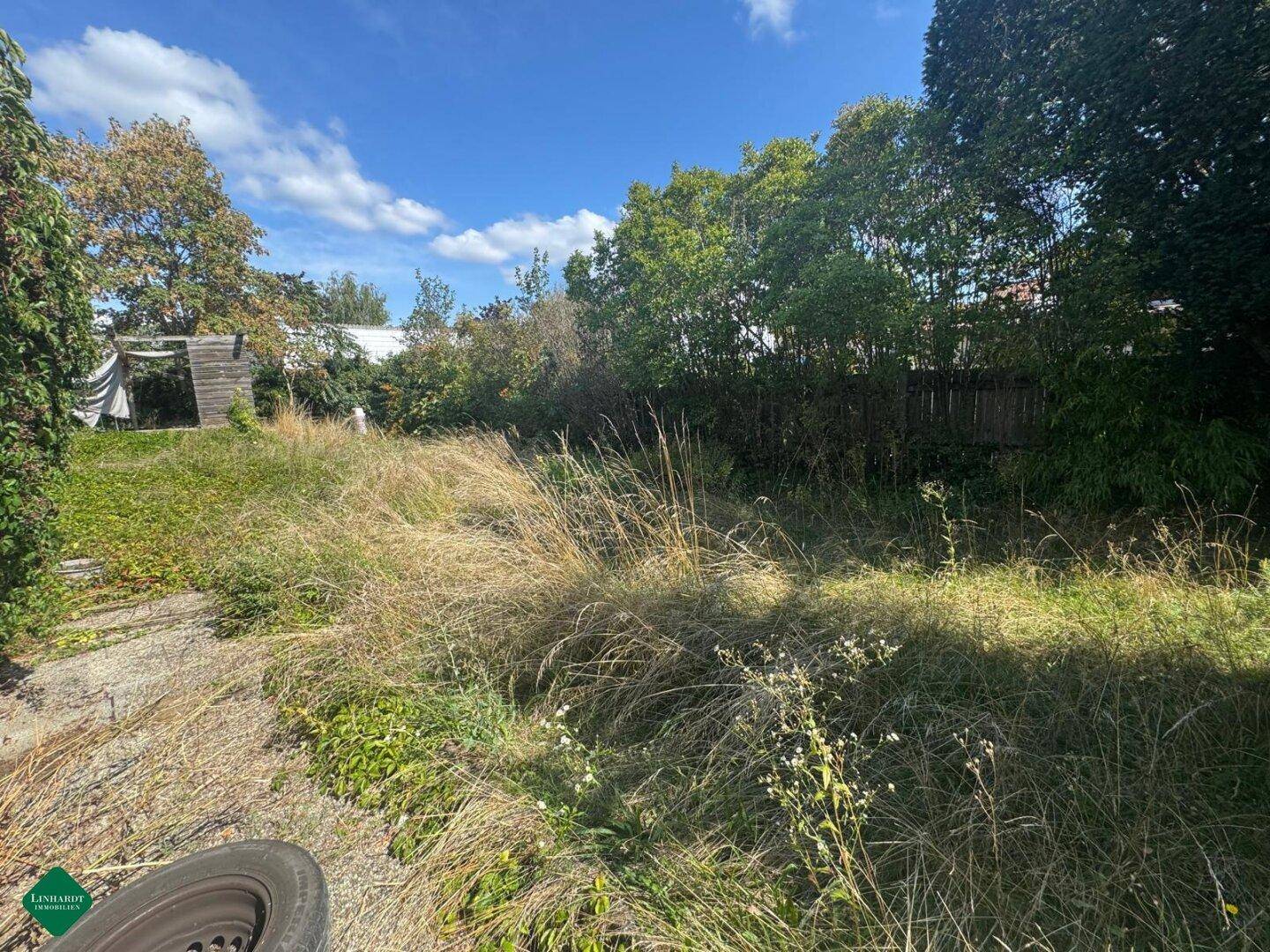 Großer, naturbelassener Gartenbereich mit hohem Gras und Bäumen, bietet viel Potenzial.