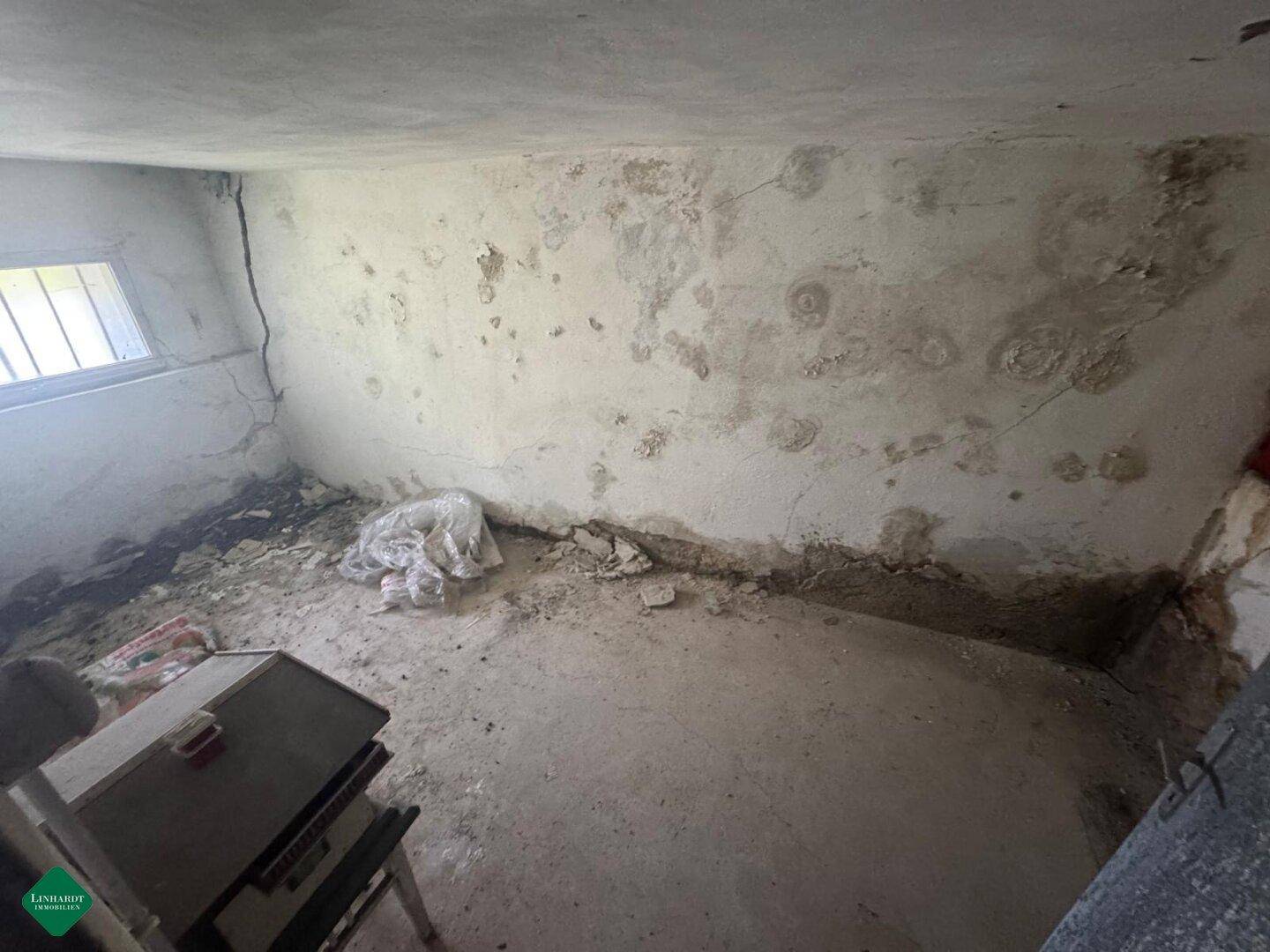 Kellerraum mit Betonboden, kleinen Fenstern und feuchten Wänden, sanierungsbedürftig.