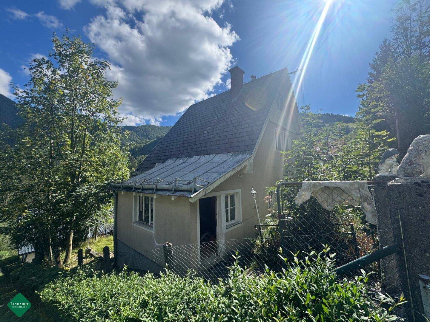 Seitenansicht des Hauses mit Schrägdach, umgeben von Bäumen und viel Sonnenlicht.