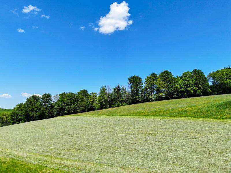 33_DJI_20250502134519_0333_D