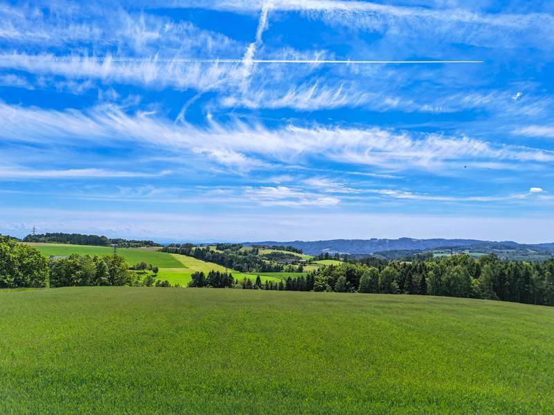 DJI_20250520145853_0431_D