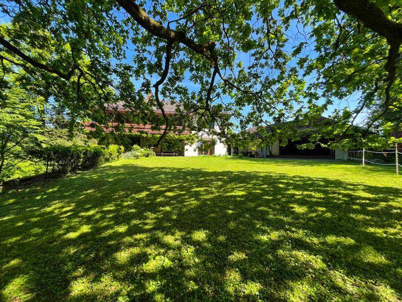 Weitläufiger Garten mit gepflegtem Rasen und Blick auf die Rückseite des Hauses.