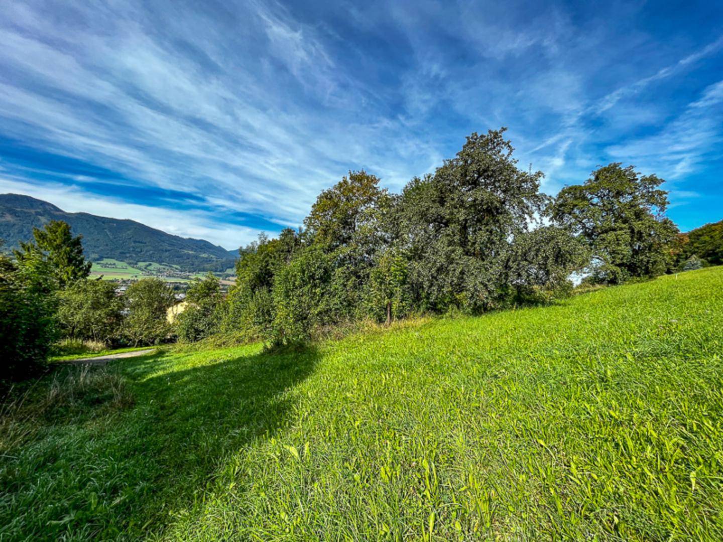 Grüne Hügellandschaft mit Bäumen und einem weiten Blick auf die umliegenden Berge unter einem dramatischen Himmel.