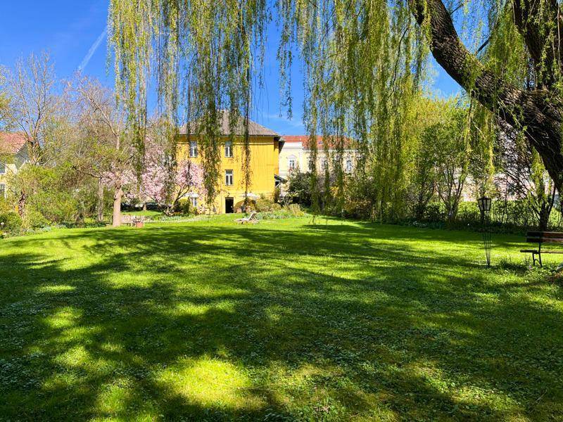Große, gepflegte Rasenfläche im Garten mit alten Bäumen und dem historischen Gebäude im Hintergrund.