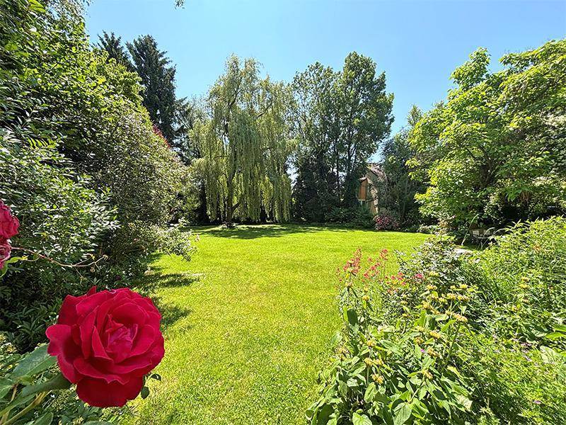 Blühender Garten mit einer roten Rose im Vordergrund, umgeben von üppigem Grün und hohen Bäumen.