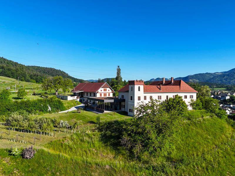 Luftaufnahme eines Anwesens mit zwei Gebäuden auf einem grünen Hügel, umgeben von Weinbergen und Bergen.