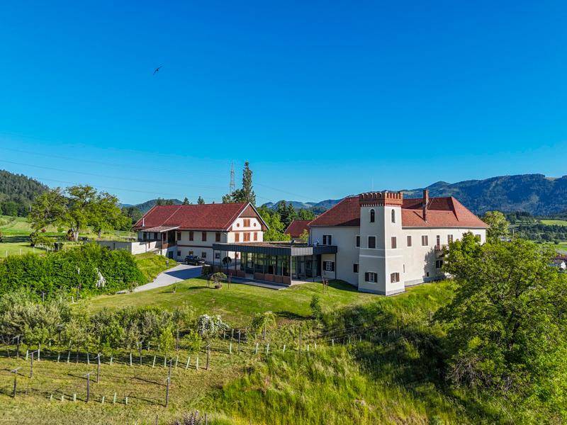 Luftaufnahme eines weitläufigen Anwesens mit mehreren Gebäuden, umgeben von grünen Feldern und Bergen unter blauem Himmel.
