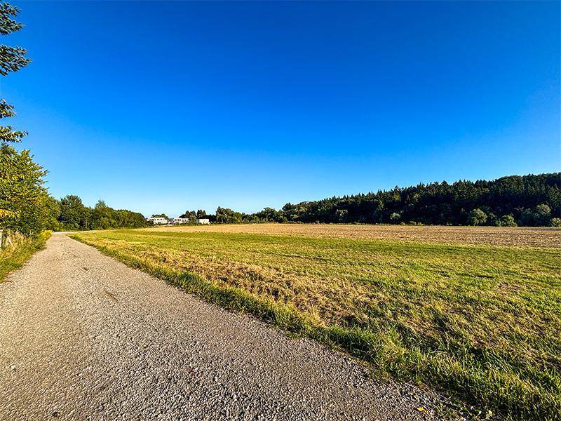 Ein Schotterweg verläuft entlang eines Feldes mit Wald im Hintergrund unter weitem, blauem Himmel.