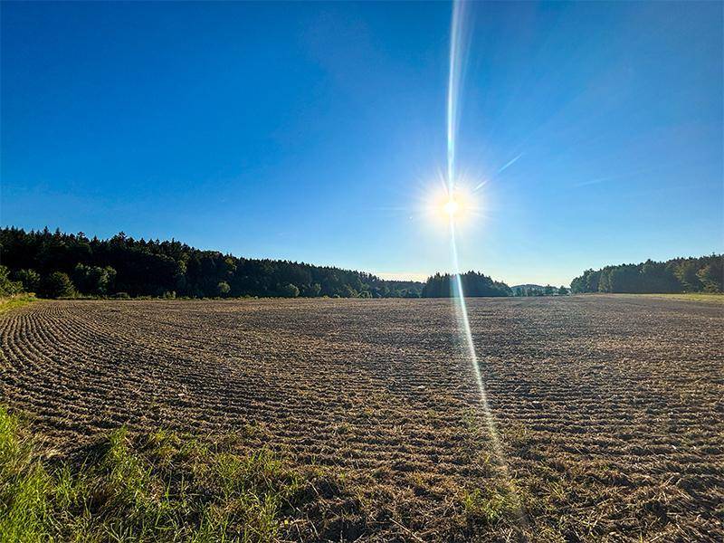 Ein frisch bearbeitetes Feld unter strahlendem Sonnenschein mit einem Waldstreifen am Horizont.