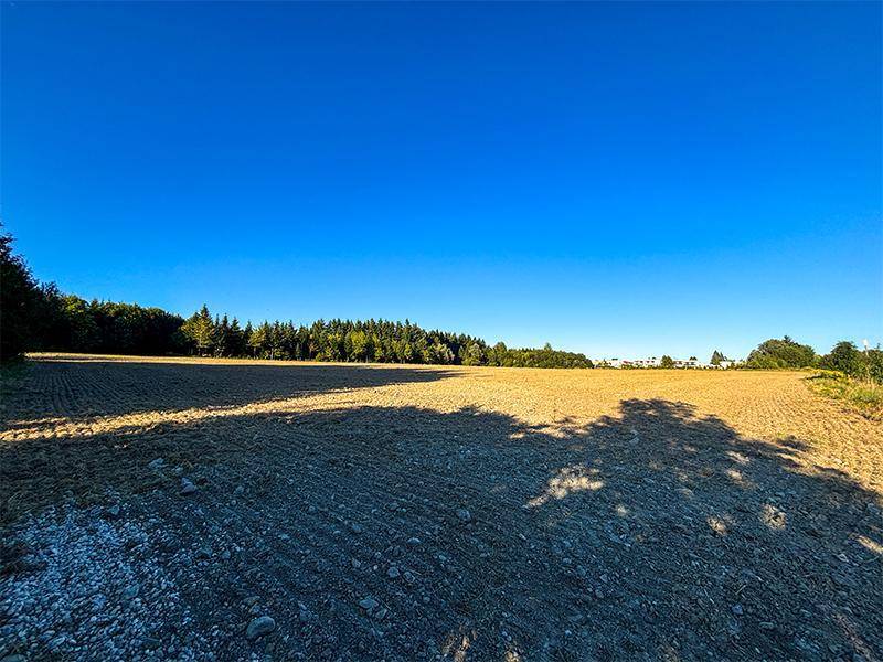 Frisch gepflügtes Feld erstreckt sich bis zum Waldrand unter einem klaren, tiefblauen Himmel.