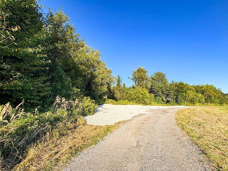 Ein Schotterweg führt durch üppiges Grün in einen bewaldeten Bereich unter blauem Himmel.