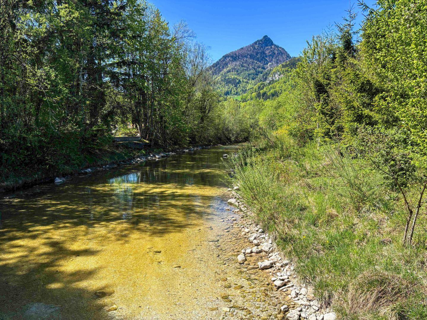 Ruhiger Fluss mit klarem Wasser, umgeben von üppiger Vegetation und Bergen im Hintergrund.