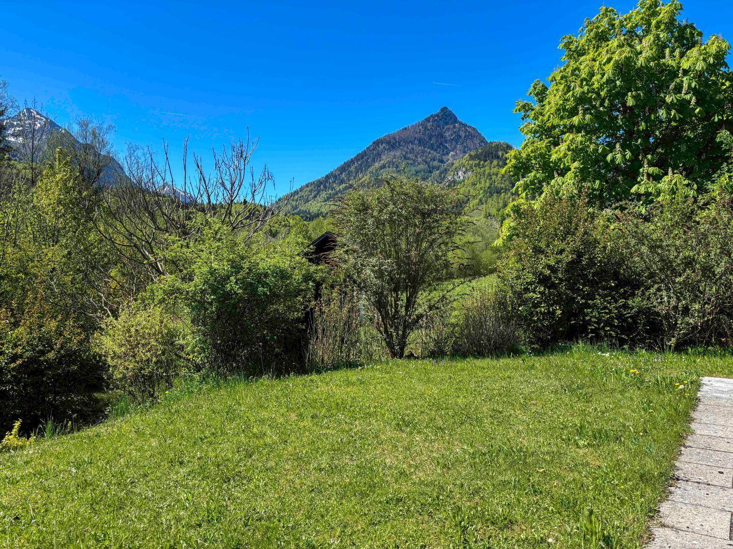 Grüner Gartenbereich mit Rasen und weitem Blick auf bewaldete Berge unter blauem Himmel.