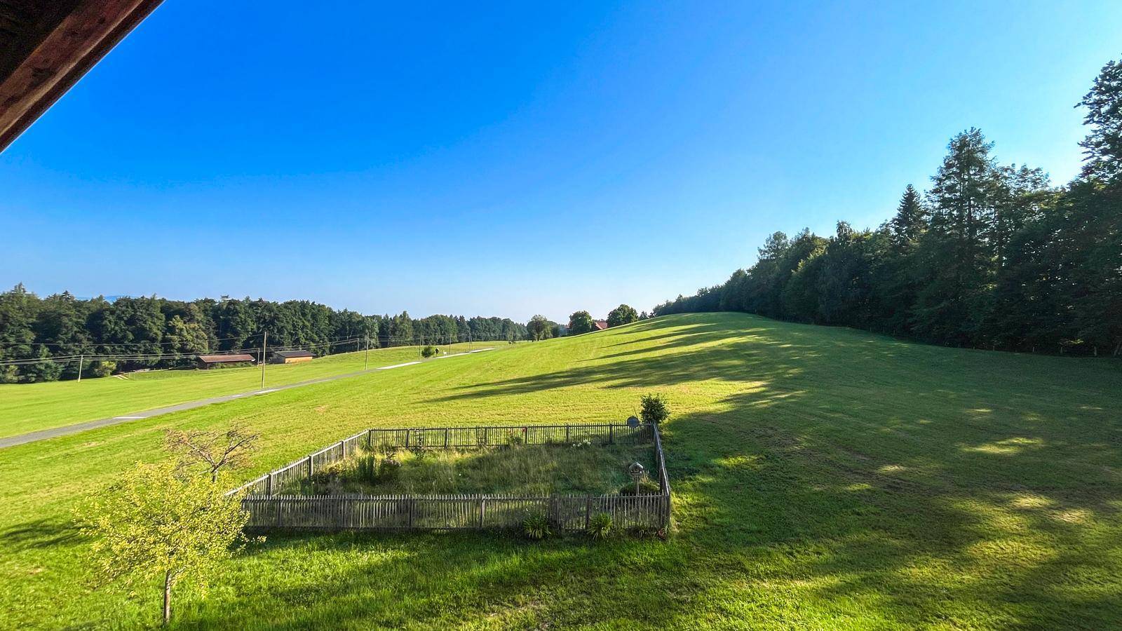 Weitläufiger Blick über grüne Wiesen und Wälder unter strahlend blauem Himmel, ideal für Naturliebhaber.