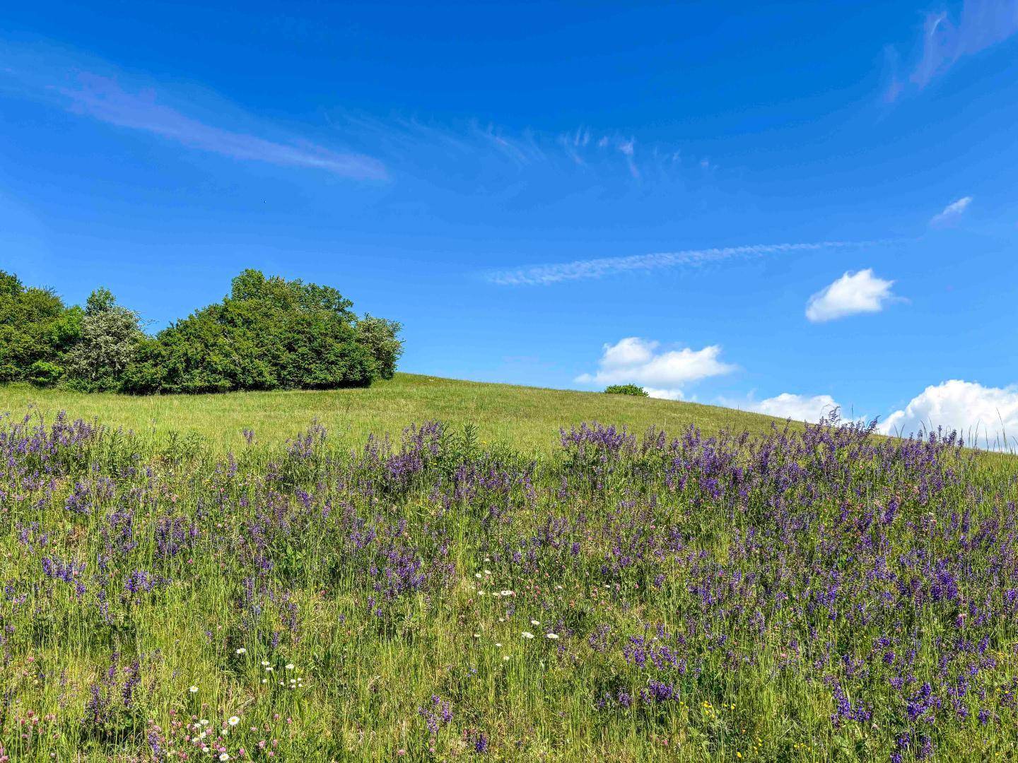 Sonniges Grundstück: Vielseitig mit rund 1000 m². - Ansicht 5