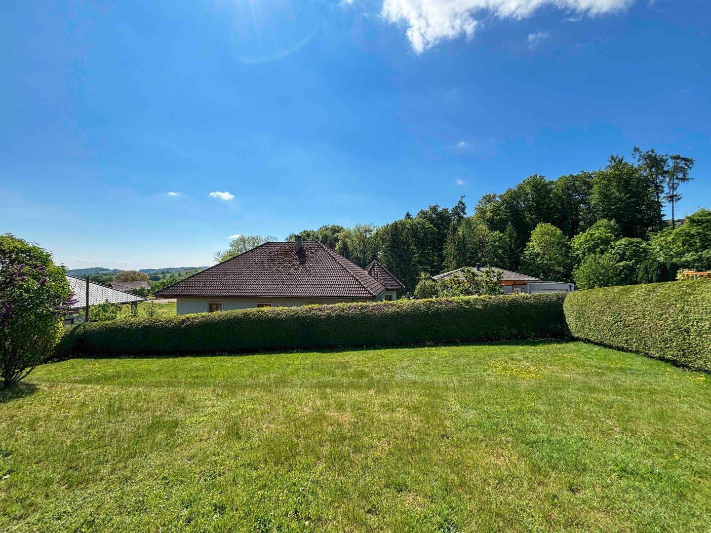 Gepflegter Garten mit Rasenfläche und hohen Hecken, dahinter ein Haus mit Ziegeldach und Waldrand.