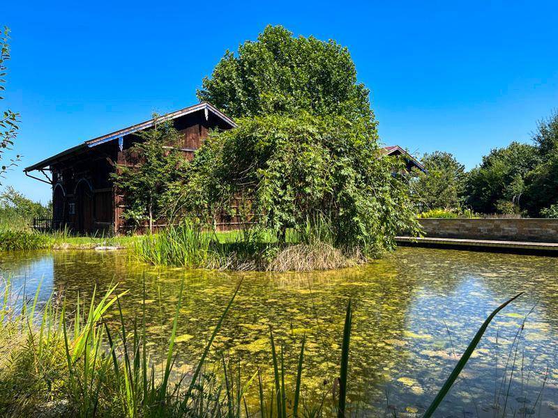 Natürlicher Teich mit üppiger Ufervegetation und traditionellen Gebäuden im Hintergrund.