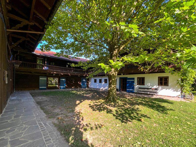 Geräumiger Innenhof zwischen traditionellen Gebäuden mit einem großen Baum und Rasenfläche.