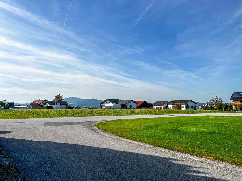Weitläufige grüne Landschaft mit einzelnen Häusern und Bergen im Hintergrund unter blauem Himmel.