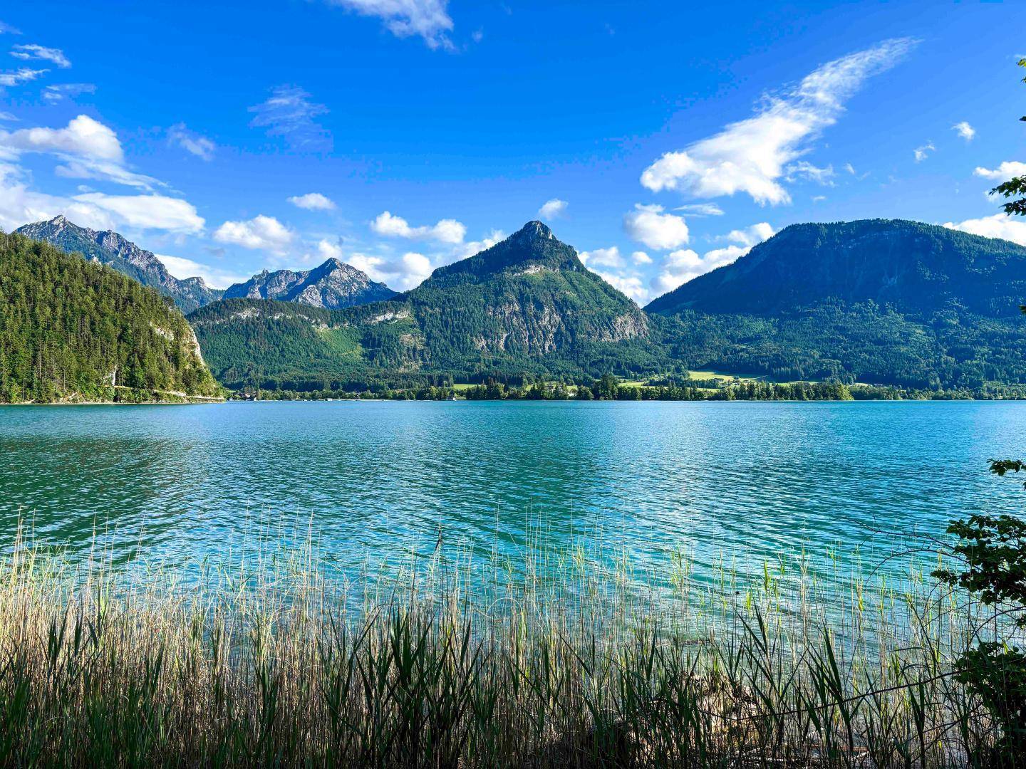 Malerischer See umgeben von grünen Bergen unter blauem Himmel mit Schilf im Vordergrund.