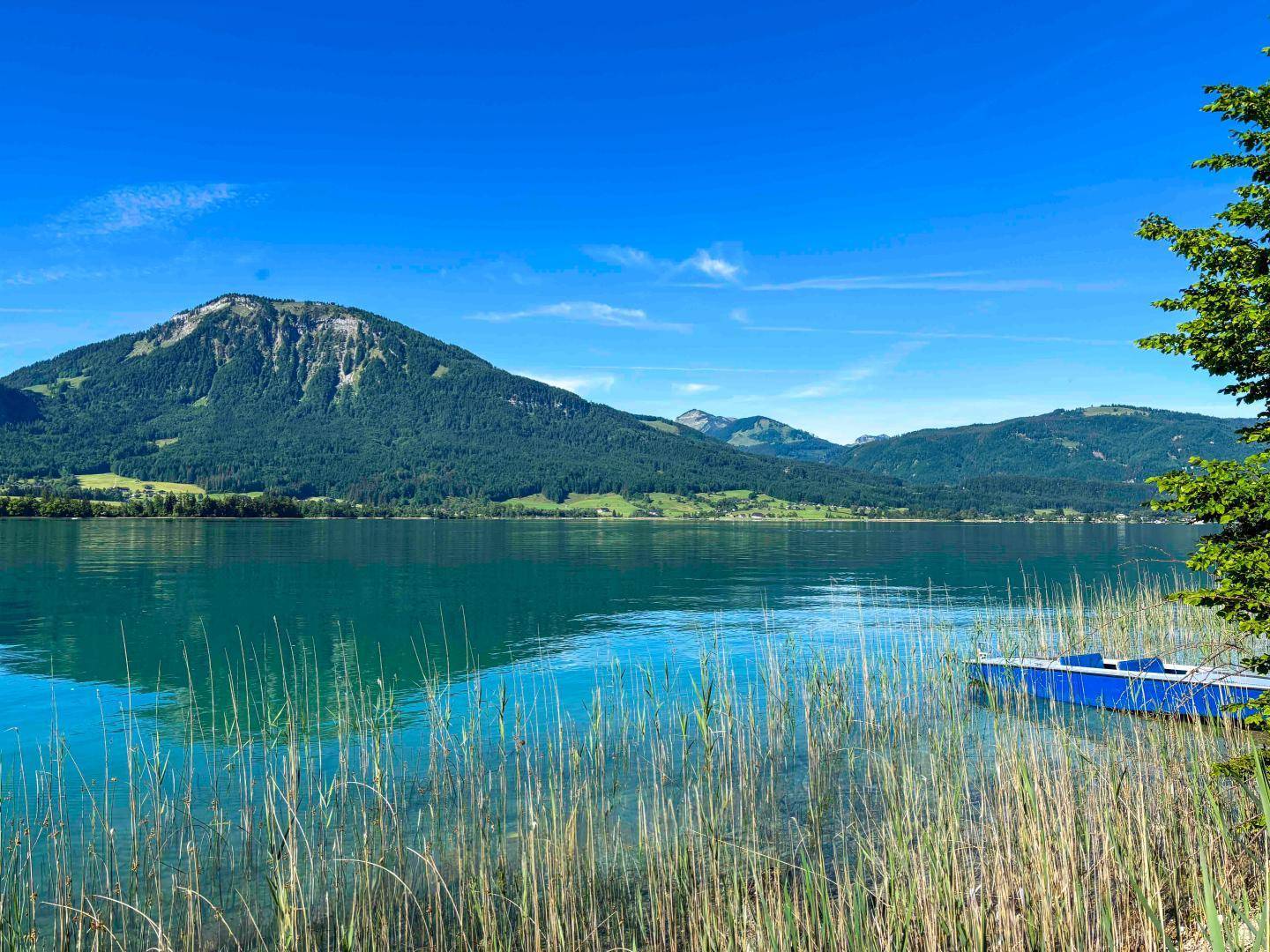 Idyllischer See mit Schilf, einem kleinen blauen Boot und majestätischen Bergen im Hintergrund.