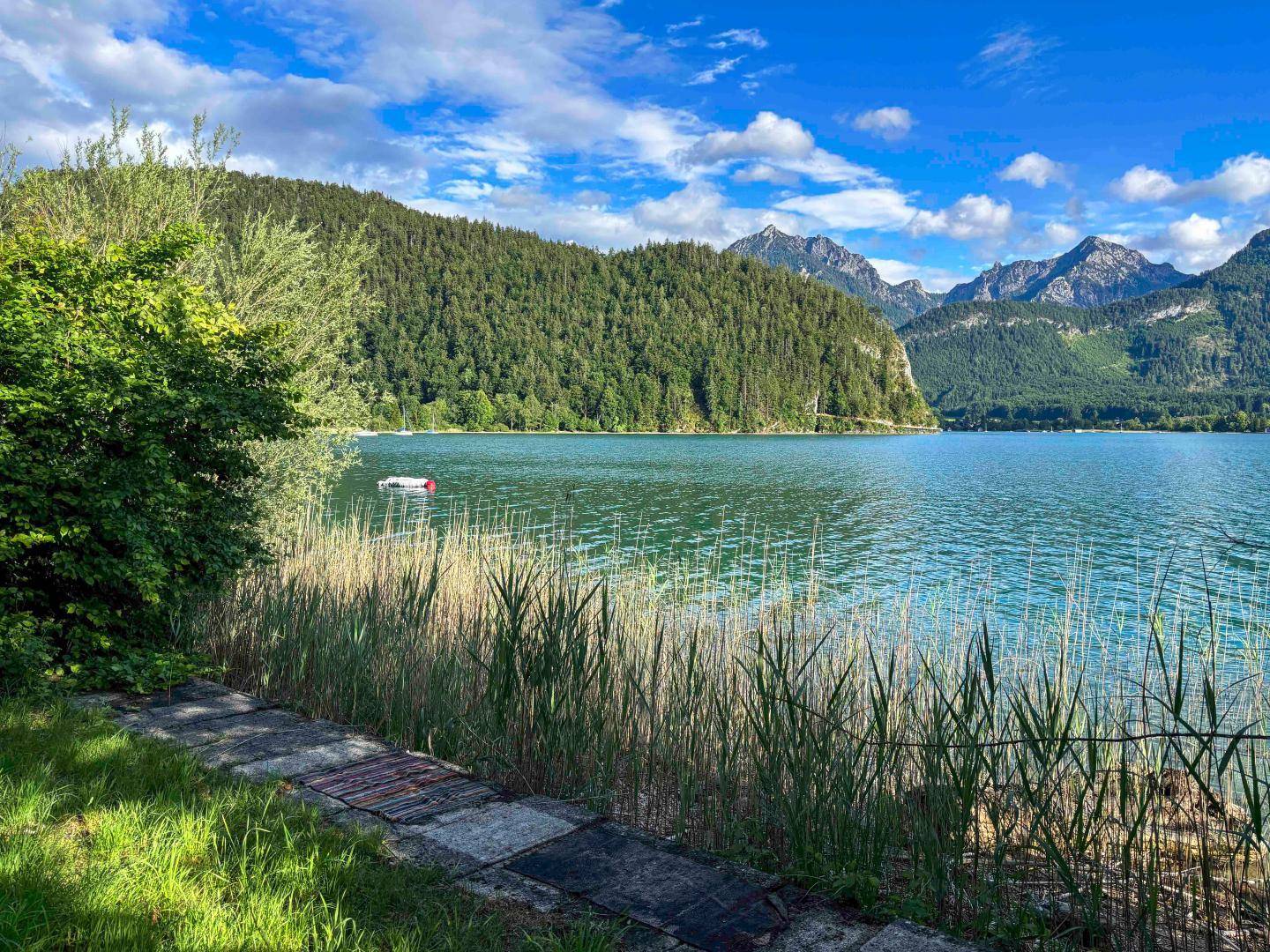 Uferbereich eines Sees mit Schilf, einem Pfad und bewaldeten Bergen im Hintergrund.