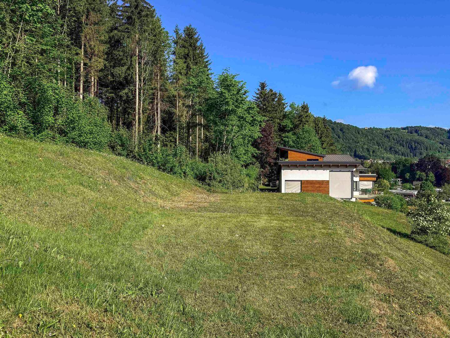 Weitläufige Rasenfläche am Hang mit einem modernen Haus und dichtem Wald im Hintergrund.