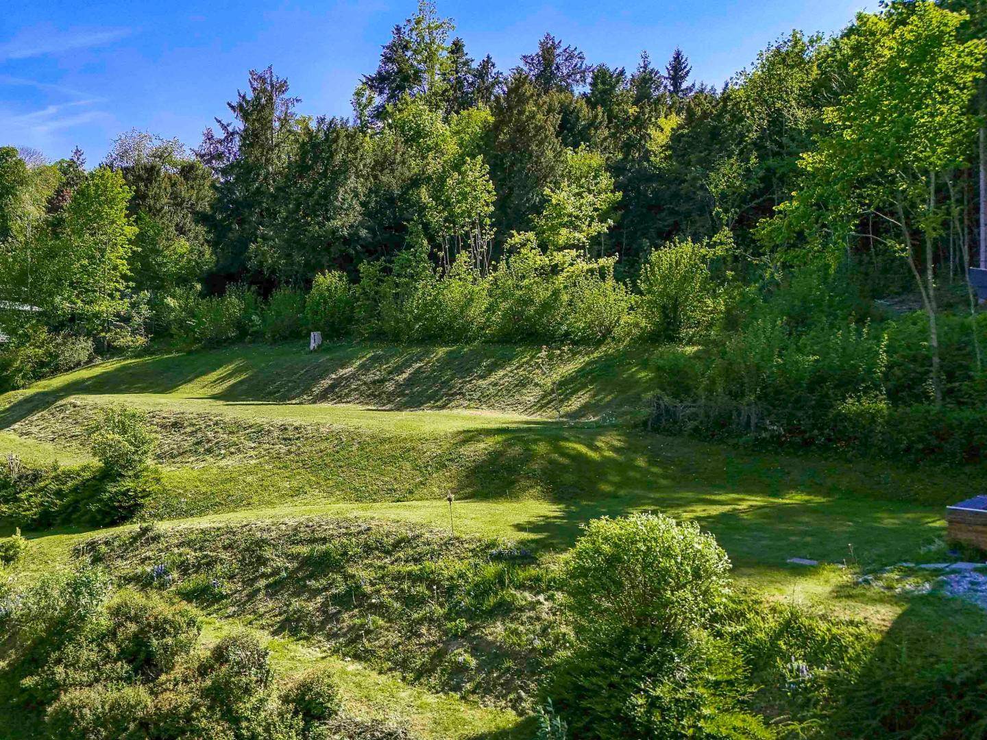 Weitläufige grüne Gartenfläche mit sanften Hügeln und dichtem Baumbestand im Hintergrund.
