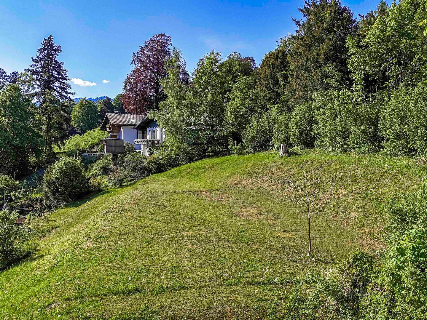 Große, grüne Rasenfläche am Hang mit einem Haus und Wald im Hintergrund unter blauem Himmel.