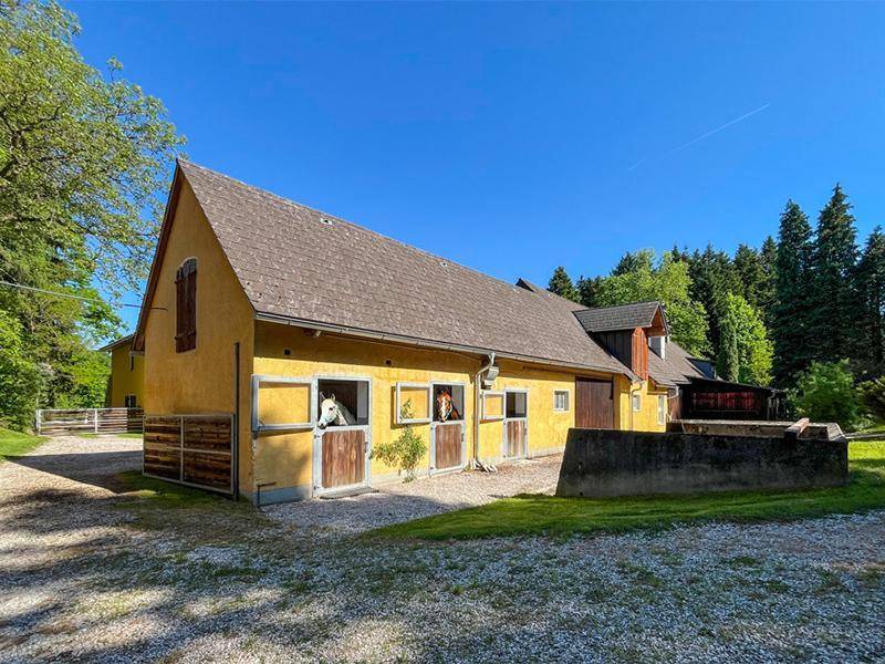 Stallgebäude mit Pferden in den Boxen und Schotterplatz, umgeben von Wald.
