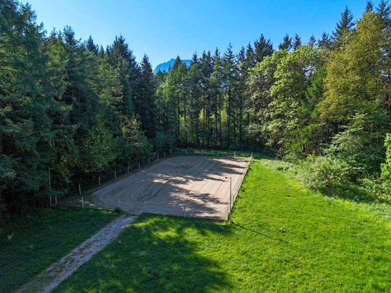 Reitplatz umgeben von Wald und grünen Wiesen unter blauem Himmel.