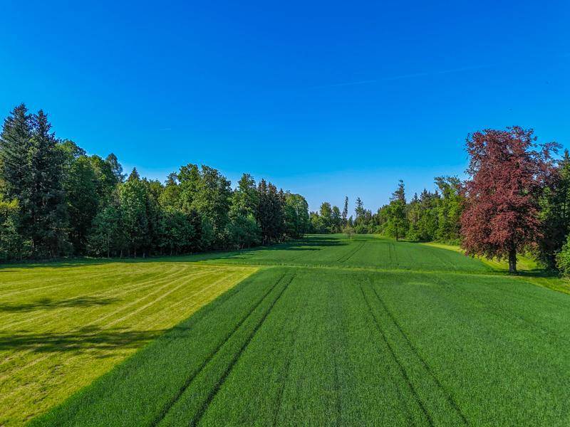Grüne Felder und Wälder unter strahlend blauem Himmel, eine idyllische Landschaft.