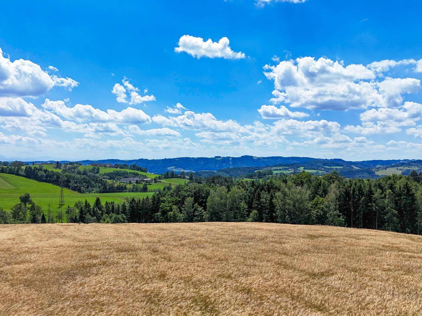 Weitläufige Landschaft mit grünen Feldern, Wäldern und blauem Himmel.