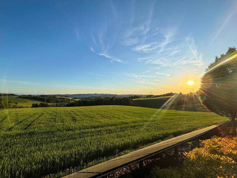 Malerischer Sonnenuntergang über weiten grünen Feldern und sanften Hügeln.