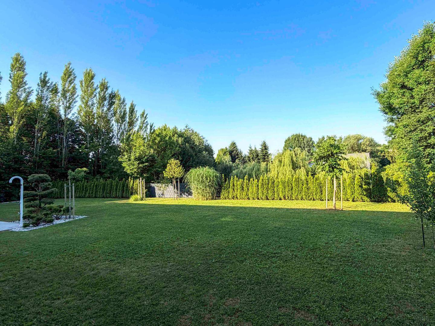 Weitläufiger grüner Garten mit hohen Bäumen und gepflegtem Rasen unter klarem Himmel.