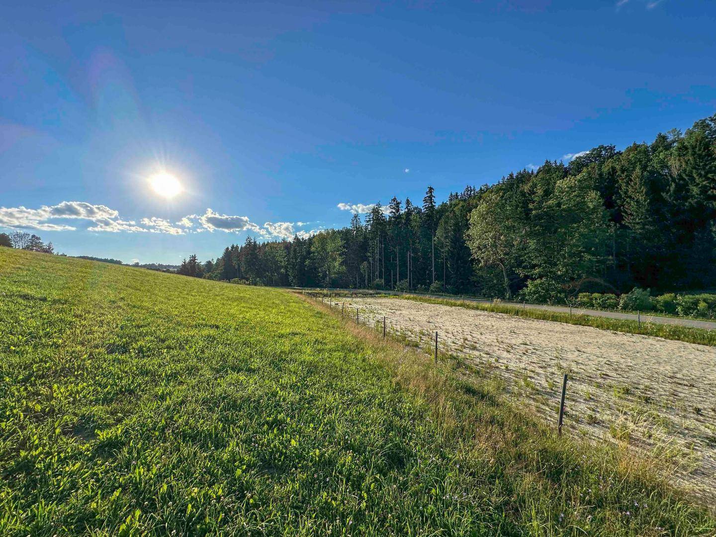 Sonnige Wiesen und Wälder unter blauem Himmel, ideal für Naturliebhaber und Erholungssuchende.