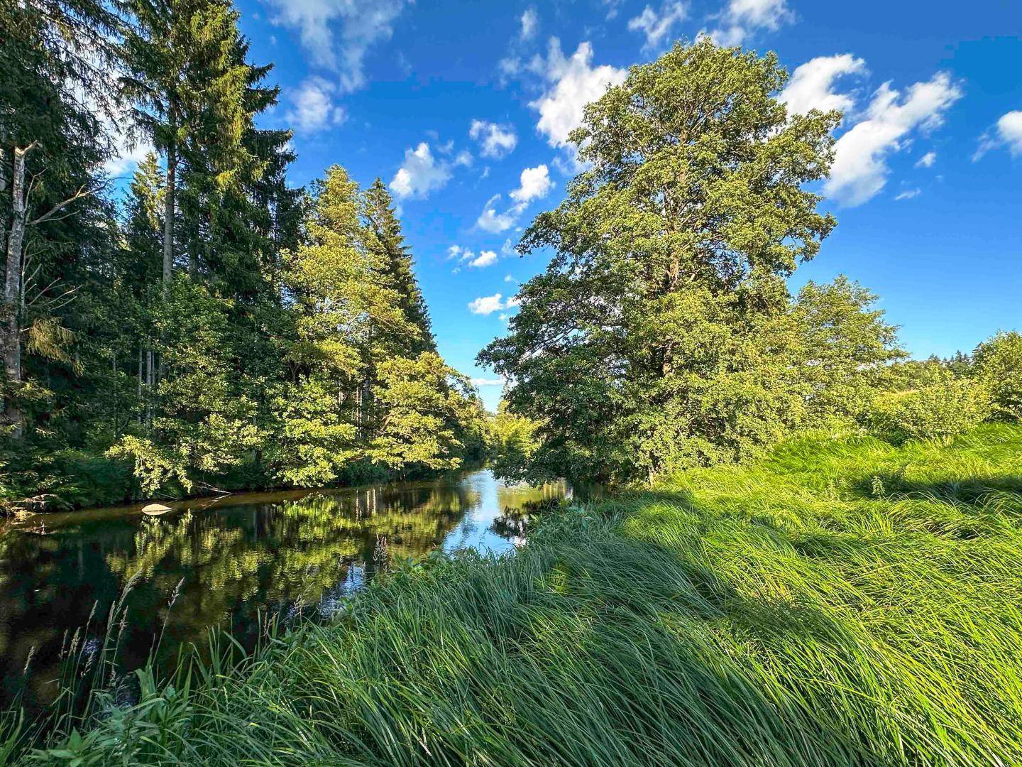 Ruhiger Flusslauf umgeben von üppigem Grün und hohen Bäumen unter blauem Himmel.