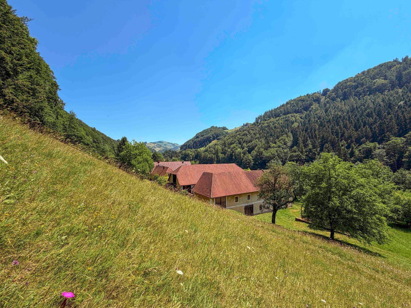 Blick von einem grasbewachsenen Hügel auf das Anwesen im Tal, umgeben von Wäldern und Hügeln.