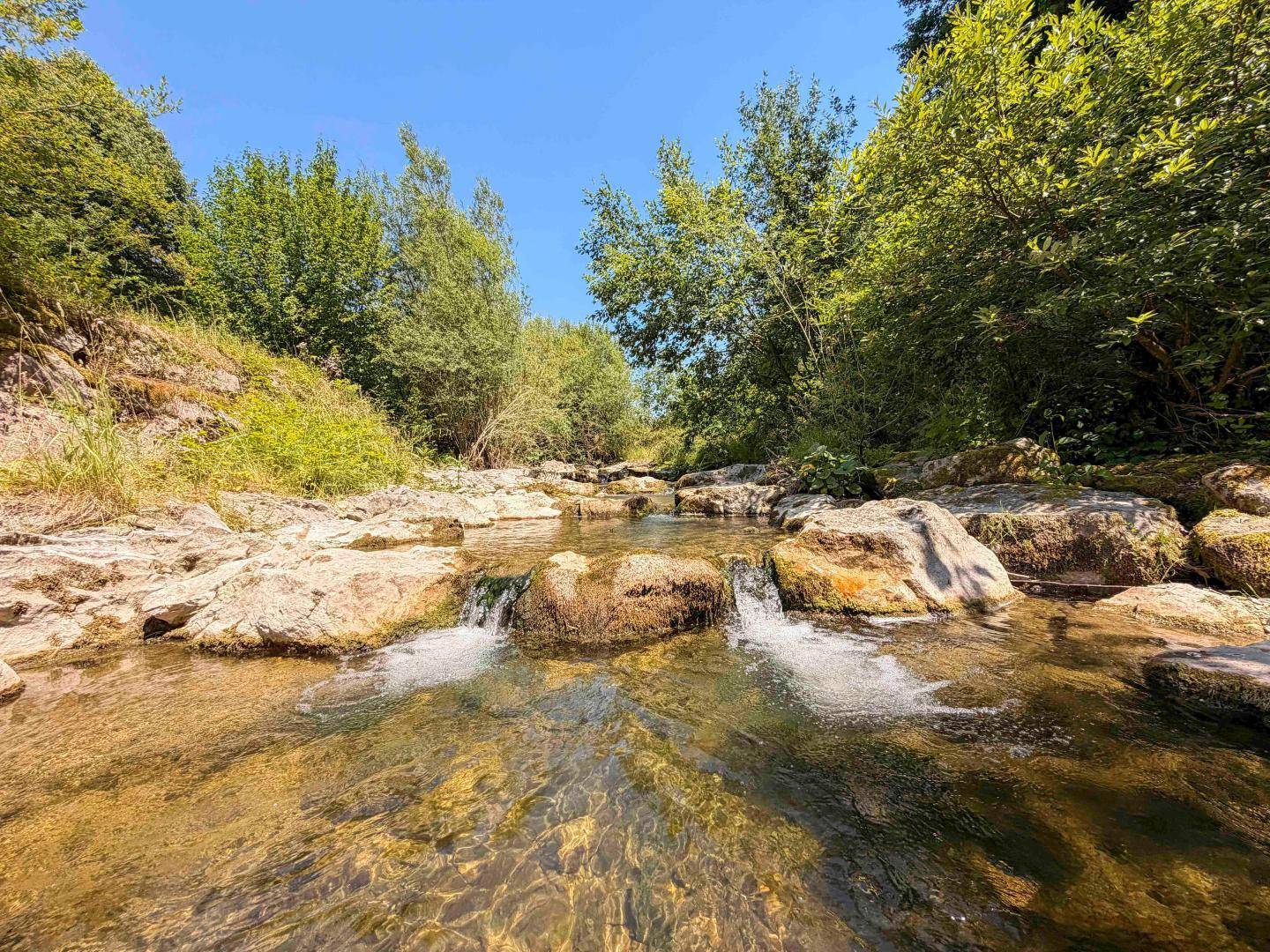 Flacher, felsiger Bach fließt durch einen Wald, mit klarem Wasser und Sonnenlicht.