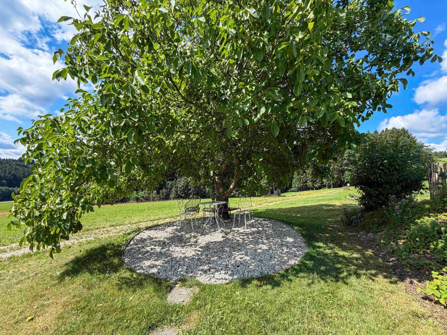 Gemütlicher Sitzplatz unter einem großen Baum im weitläufigen Gartenbereich mit viel Grün.