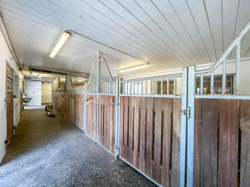 Innenansicht eines Pferdestalls mit mehreren Boxen und Holz-Metall-Konstruktion.