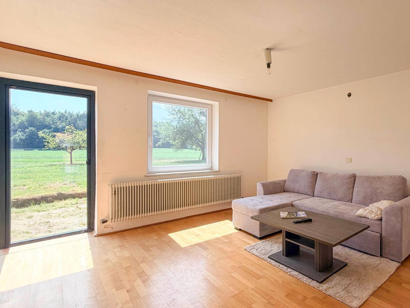 Gemütliches Wohnzimmer mit Sofa, Holzboden und Zugang zu einem Außenbereich.